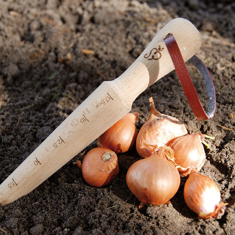 Plantoir en bois avec graduations