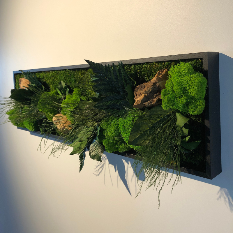 Cadre végétal stabilisé Beuvron 41 cm - Tableau végétal stabilisé -  Artiplantes