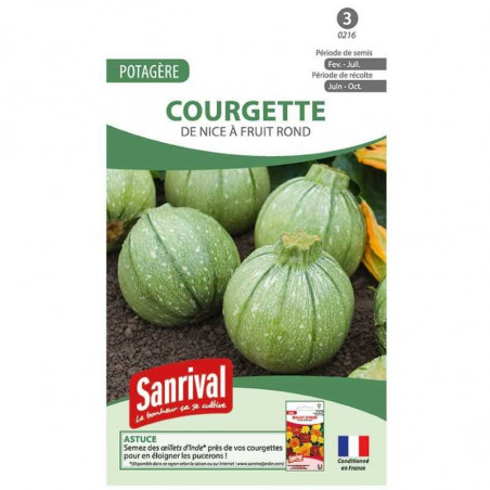 Graines Courgette Nice Fruit Rond
