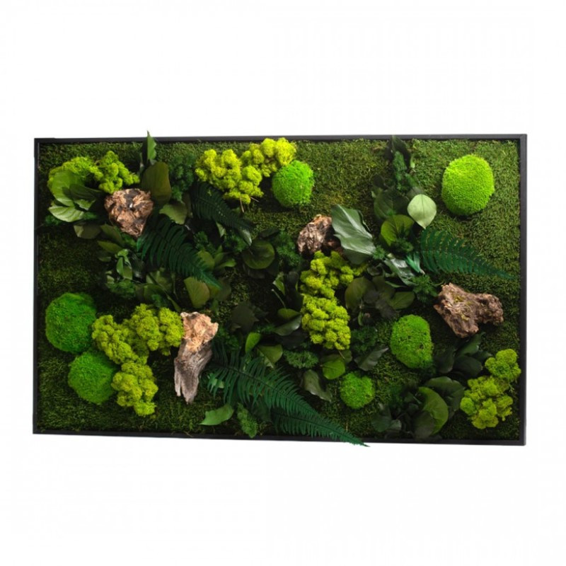 Tableau végétal mural stabilisé 100cm N