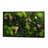 Tableau végétal mural stabilisé 100cm N