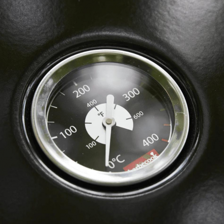 Barbecue avec Couvercle Charbon de Bois Magnus Confort