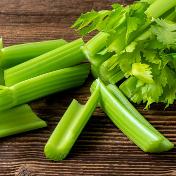 3 Plants Céleris Vert Lino Motte 6 cm