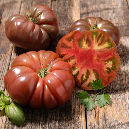 6 plants Tomate noir de crimee motte 7cm