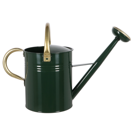 Arrosoir robuste et designe en métal 9,5L