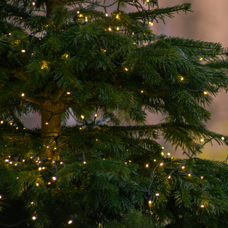 Sapin de Noel Nordman coupé 125cm