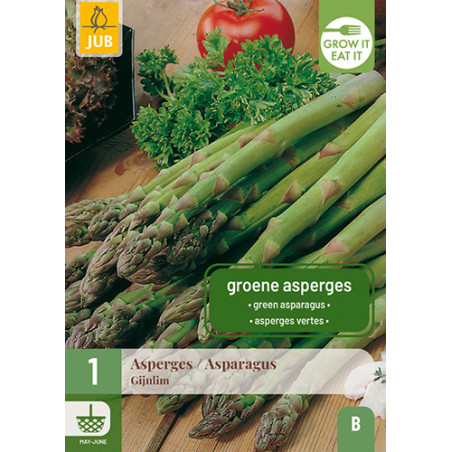 1 plant d'Asperge Gijnlim
