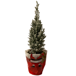 Sapin de Noel de table floqué 35cm