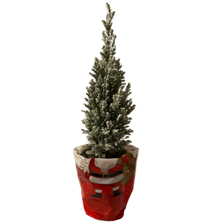 Sapin de Noel de table floqué 35cm