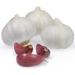 Morado de Cuenca Bulbe Ail a repiquer 500 gr