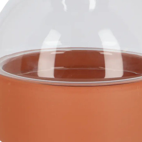 Jardinière terrarium Terre cuite et Verre 21x22cm