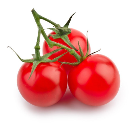 Plant Tomate Rubylicious Pot 10,5cm ANTI MILDIOU