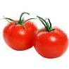 3 Plants Tomate Crimson Crush F1 Pot 10,5cm RESISTANT MILDIOU