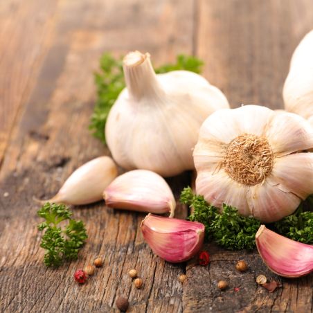 Rose du nord 50+ Ail a repiquer 500 gr