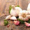 Rose du nord 50+ Ail a repiquer 500 gr