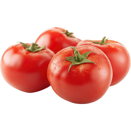 Plant Tomate Honey Moon F1 Pot 10,5cm ANTI MILDIOU