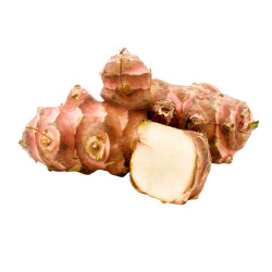 Plant Topinambour pot 10,5cm