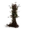 Hêtre pourpre - Fagus sylvatica Atropunicea en Racines nues 40/50cm