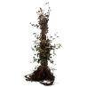 Hêtre commun,Hêtre vert - Fagus sylvatica Atropunicea 80cm Racines nues