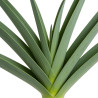Ail d'ornement Globemaster 30cm Pot 1L - Allium