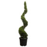 Cyprès de Leyland Castlewellan Gold - Cupressocyparis leylandii Castlewellan Gold Spirale 180cm Pot 30L
