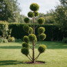 Cyprès de Leyland Castlewellan Gold Pompoms 180cm Pot 30L - Topiaire à boules