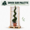 Cyprès de Leyland - Cupressocyparis leylandii Spirale 180cm Pot 30L