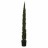 Cyprès de Provence Pyramidalis - Cupressus sempervirens Pyramidalis 150/170cm Pot 15L