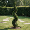 Cyprès de Leyland Castlewellan Gold - Cupressocyparis leylandii Castlewellan Gold Spirale 140/160cm Pot 18L