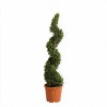 Cyprès de Leyland - Cupressocyparis leylandii Spirale 140/160cm Pot 18L