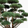 Pin sylvestre Watereri - Pinus sylvestris Watereri Bonsaï 175/200cm Pot 500L