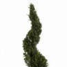 Cyprès de Leyland - Cupressocyparis leylandii Spirale 100/120cm Pot 10L