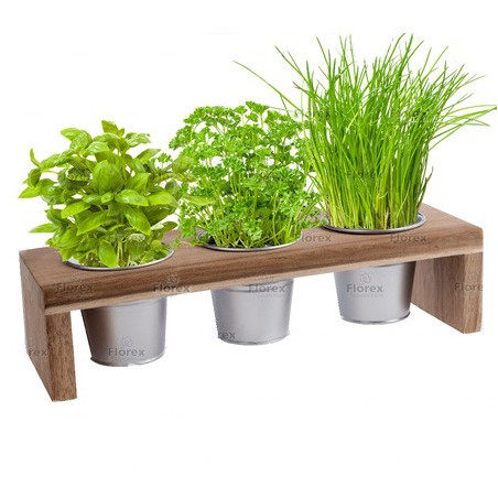 Kit fines herbes en pots - support bois