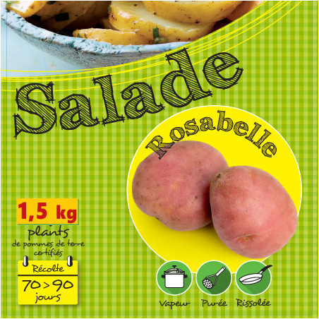 1,5 kg de Plants de pomme de terre Rosabelle