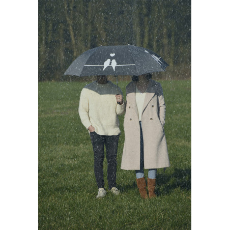 Parapluie des amoureux