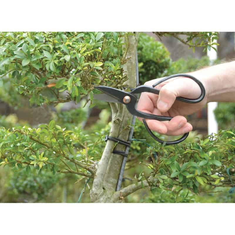Ciseaux bonsa• et vŽgŽtaux coupe nette Pas Cher - Pretajardiner