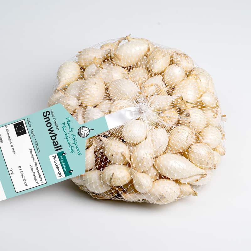 Snowball (blanc) Oignons a repiquer 250gr
