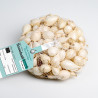 Snowball (blanc) Oignons a repiquer 250gr