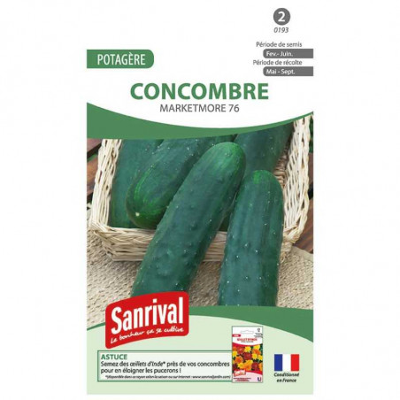 Graines Concombre Marketmore 76