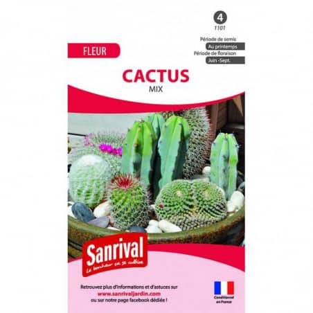 Graines Cactus Mix