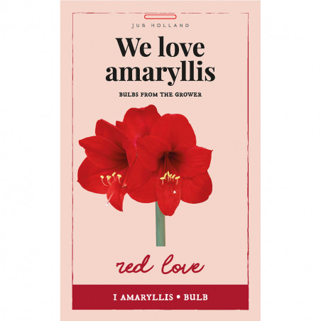 Sac 1 bulbes We love Amaryllis red