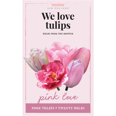 Sac Mix de 20 tulipes roses et blanches