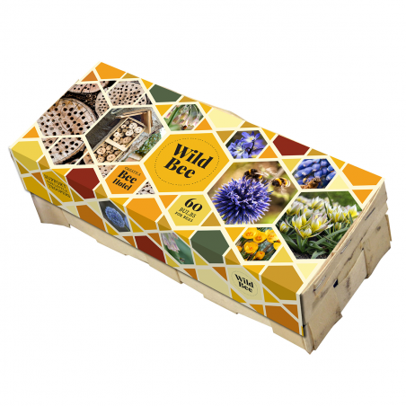 Caisse de 60 Bulbes de fleurs abeilles
