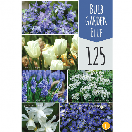 Mix de 125 Bulbes bleus pour le jardin