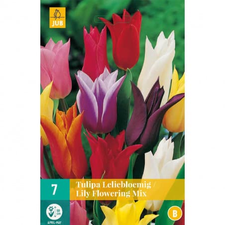 Mix de 7 Tulipes tardives Lilyflowering