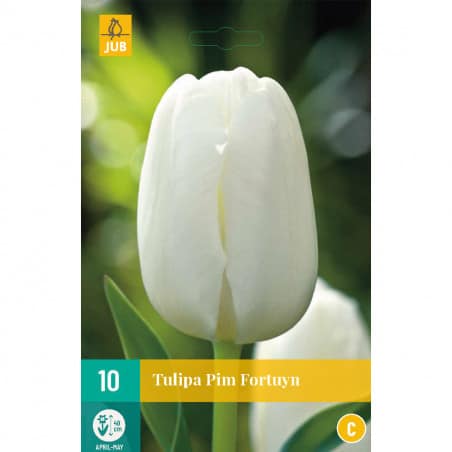 10 Tulipes Pim Fortuyn