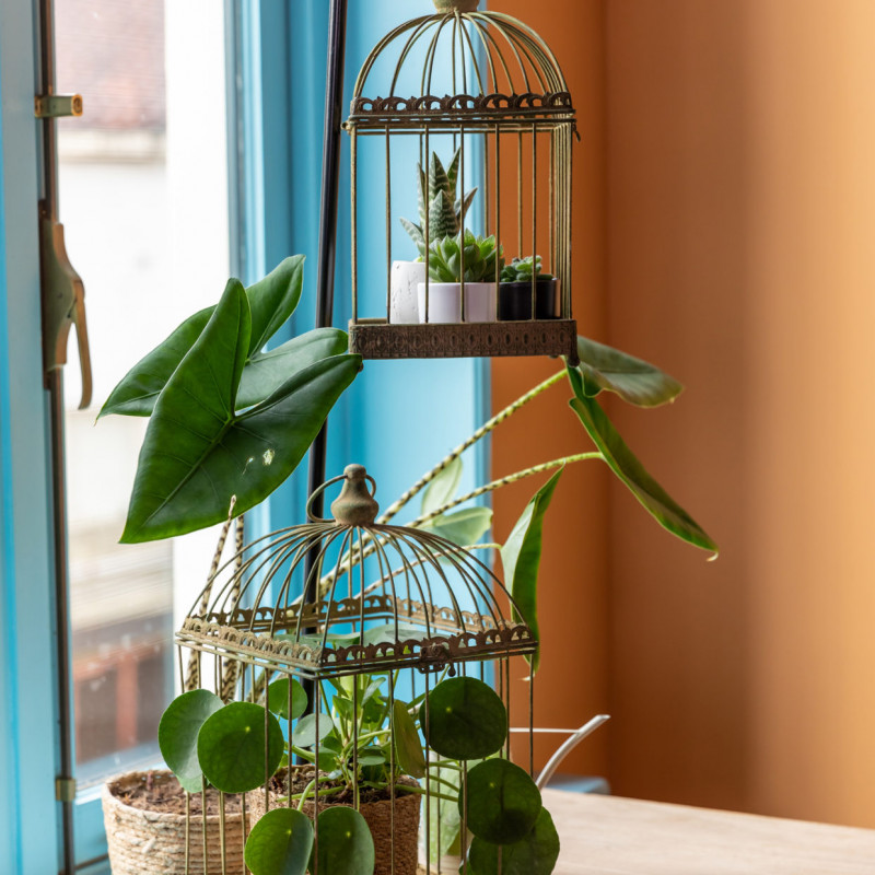 Petite Cage à Oiseaux de Jardin Intérieur Extérieur Carrée en Fer