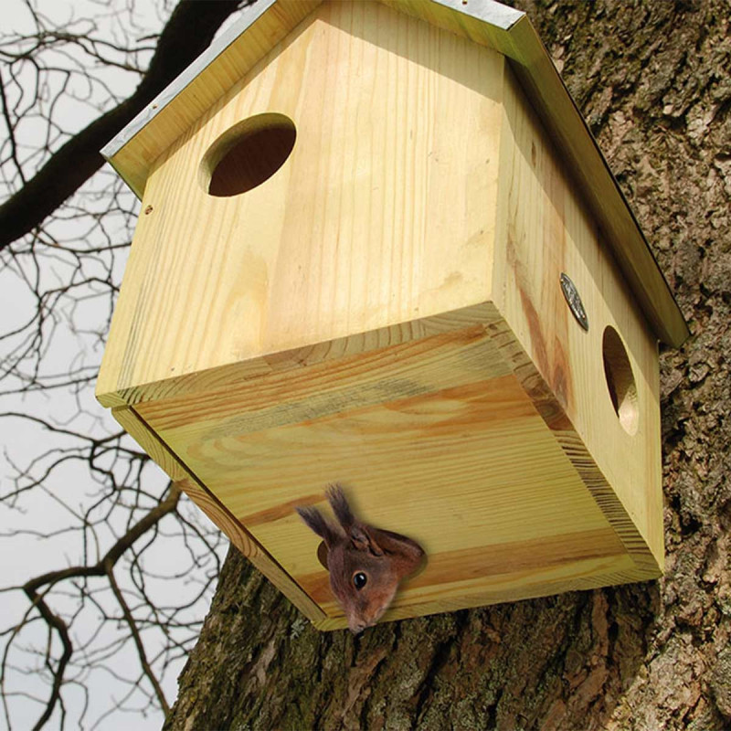 Abri pour écureuil pas cher - Acheter une petite maison Ecureuil
