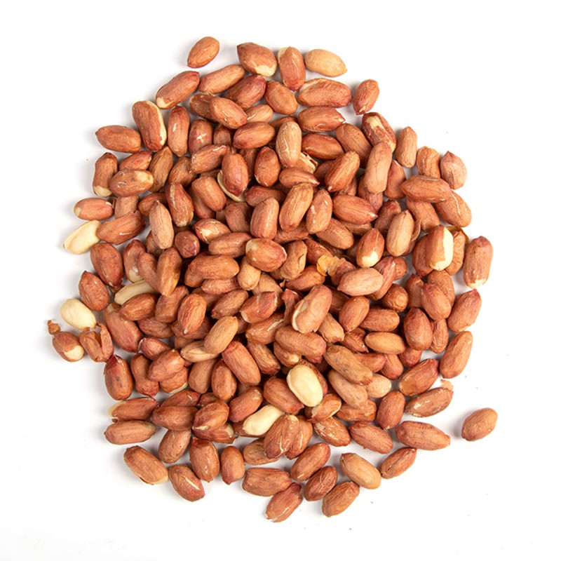 Cacahuètes décortiquées ou arachides pour oiseaux du jardin