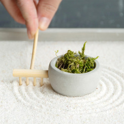 Jardin zen carré 20 x 20 cm